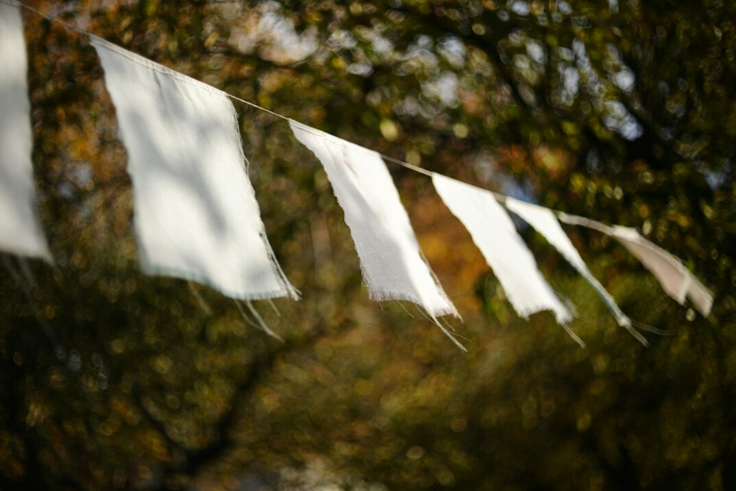 Row of blank campaign banners and flags outdoors