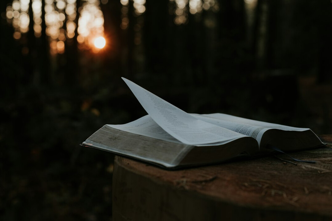 ancient hidden book